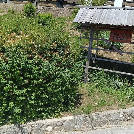 Apartma In Sobe Tanja * Podbrdo