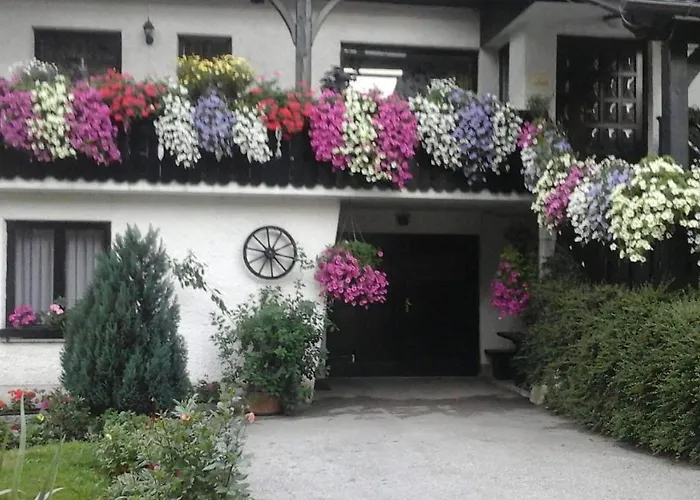 Apartma In Sobe Tanja Apartment Podbrdo