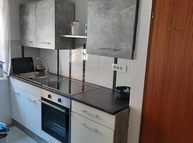 Apartment Apartma In Sobe Tanja Podbrdo