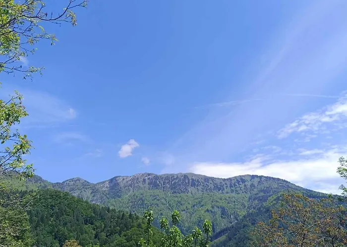 Apartma In Sobe Tanja Apartment *